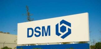 DSM Dyneema fiber SB71