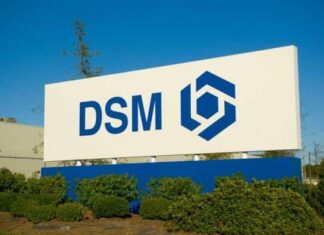 DSM Dyneema fiber SB71