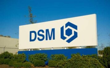 DSM Dyneema fiber SB71