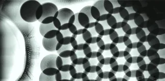 Dragon Skin Body Armor