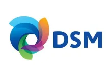 DSM logo