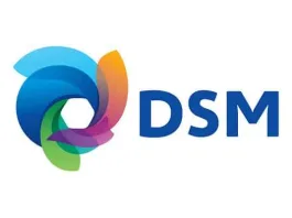 DSM logo