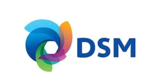 DSM logo
