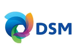 DSM logo