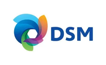 DSM logo