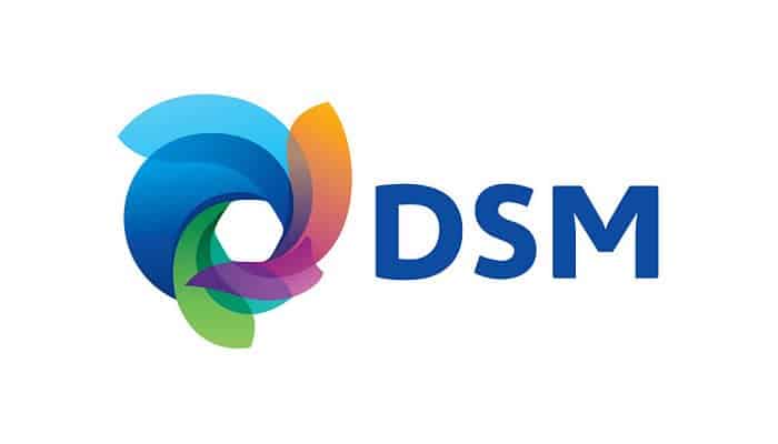 DSM logo
