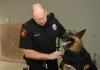 canine body armor | K-9 body armor