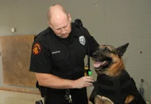 canine body armor | K-9 body armor