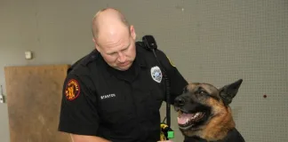 canine body armor | K-9 body armor
