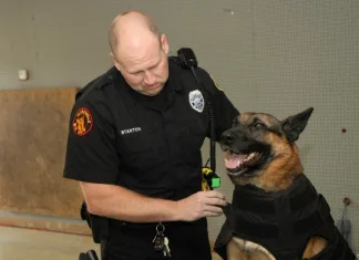 canine body armor | K-9 body armor