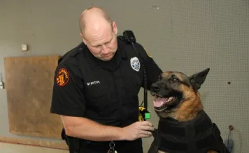 canine body armor | K-9 body armor