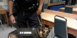K-9 armor vests give dogs up to date technology