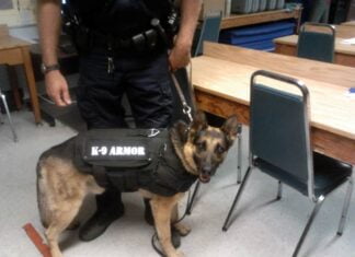 K-9 armor vests give dogs up to date technology