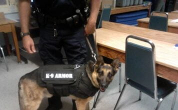 K-9 armor vests give dogs up to date technology