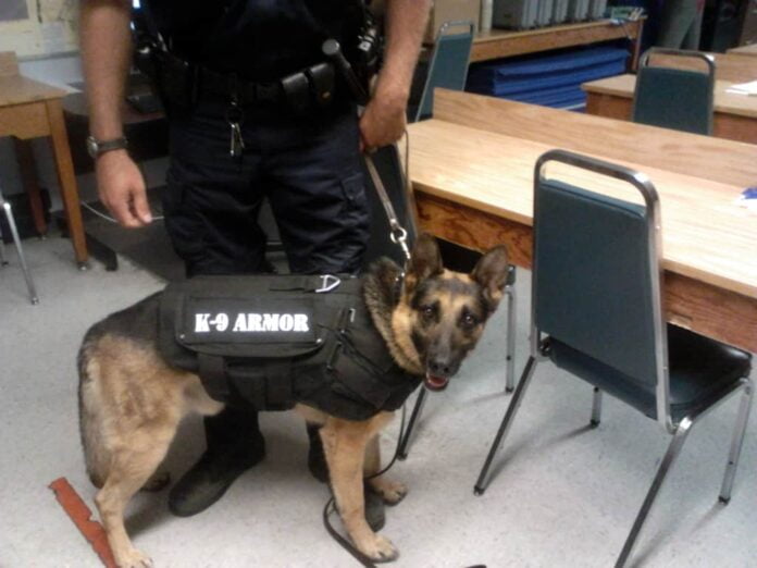 K-9 armor vests give dogs up to date technology