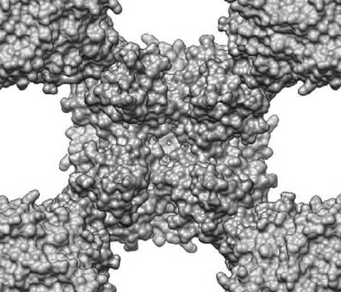 Protein Crystal