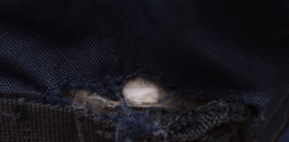 Bullet Stoppen In Ballistic Vest