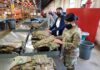 female body armor