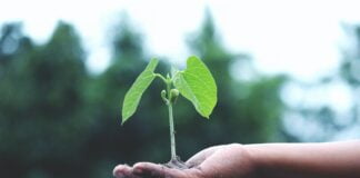 DSM Dyneema's sustainability goals