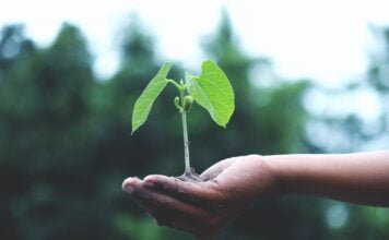 DSM Dyneema's sustainability goals