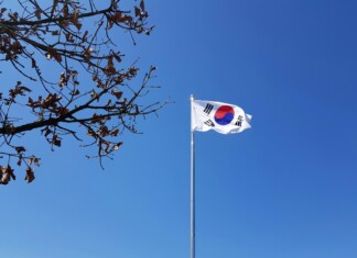The Politics of Protection: South Korea’s Industry Expansion Program